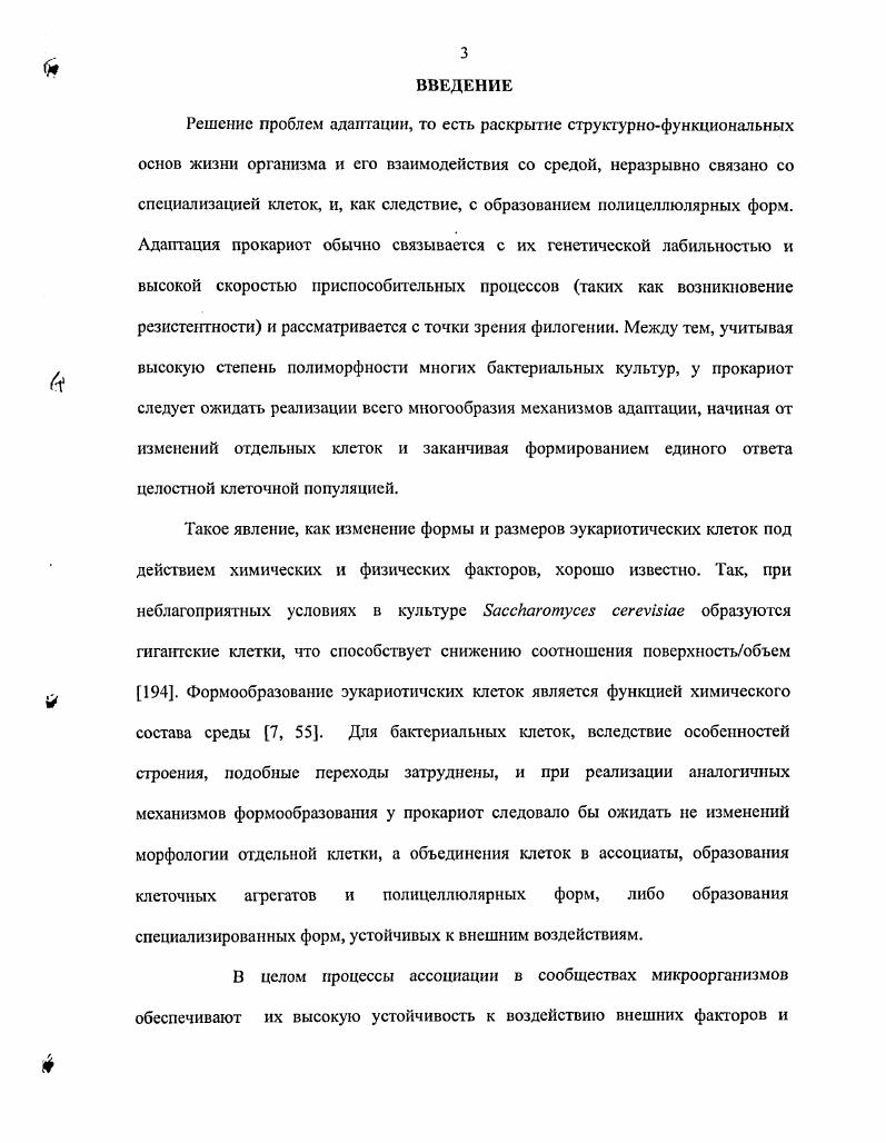 Особый интерес представляет адаптивное образование различных морфогипов покоящихся форм в конкретных условиях развитая культуры. Так, у бацилл описаны эндоспоры и цистоподобные рефрактерные клетки у миксобактерий миксоспоры и периферийные клетки 6, 2 у стрептомицетов экзо и эндоспоры . Для Срутилизирующих бактерий, фотосинтезирующих и метанотрофов, показано образование различных типов покоящихся форм 3. У метанокисляющих бактерий рода i формируются экзоспоры с асимметричным септированием материнской клетки и последующим отделением образовавшейся споры. Неспорообразующие метанотрофные бактерии образуют цистоподобные клетки, различающиеся морфологически и физиологически у представителей разных родов. У ii v обнаружены липидные цисты крупных размеров и округлой формы, устойчивые к нагреванию и высушиванию и содержащие большое количество полироксибутирата. Представители рода i также образуют цистоподобные формы с утолщенной клеточной стенкой, но менее терморезистентные. Такие формы, менее устойчивые к нагреванию и высушиванию, относят к незрелым цистам 3. Цистоподобные клетки. В микробиологии хорошо известен факт длительного переживания микроорганизмами неблагоприятных условий среды. Обнаружено, что среди бактерий, обладающих специфическими особенностями стратегии выживания, болышшетво относится к неспорообразующим формам. Реализуя механизмы, позволяющие им оставаться в жизнеспособном состоянии в течение длительного времени, эти бактерии способны образовывать, в частности, цистоподобные рефрактерные клетки ЦПК. При этом вегетативные клетки переходят в неделящееся состояние с гипометаболичсским уровнем обмена , теряя способность образовывать колонии при высеис на плотные среды. Это явление установлено для многих, в основном, неспорообразующих, грамотринательных и грамположительных эубактерий, архебактерий, а также для дрожжей. Цистоподобные клетки образуются в циклах развития клеточных культур на постстационарной стадии. При направленной стимуляции липогенсза и увеличения количества восстановителей в клетке, что часто обусловлено лимитом азота, изменением баланса СИ, лимитом или Р. У спорообразующих бактерии данный механизм реализуется при том условии, что спорообразование репрессировано глюкозой. При автолизе бактериальных суспензий высокой клеточной плотности. При экзогенном повышении уровня ауторегуляторов образования некультивируемых форм в клеточной культуре, например, при пересыхании или вымораживании почв. Морфологические отличия некультивируемых форм от вегетативных клеток выражаются в увеличении степени светопреломления и уменьшении объема клеток вследствие обезвоживания 3. Общими ультраструктурними особенностями ЦПК являются усложнение и утолщение клеточных покровов клеточных стенок и капсулярных слоев, конденсация и комиактизация нуклеоида, неоднородность цитоплазматической структуры, в том числе появление вакуолизированных включений полироксимасляной кислоты . ЦПК характеризуются также и изменением элементного состава увеличением концентрации Са2 и увеличением содержания К то есть измененным соотношением СаК . Метаболическая активность цистоподобных клеток резко снижена и экспериментально не выявляется. Их устойчивость к действию высоких температур, ультрафиолетовому облучению, литическим ферментам, осмотическому и стрессу значительно превышает таковую вегетативных клеток 0. Сравнительный анализ динамики образования ЦПК у бактерий разных родов выявляет корреляцию со стратегией роста бактериальных культур для образования и созревания покоящихся клеток артробактериям требуется более длительное время, чем для i и i . Поскольку арфобакгерии относятся к Кстратегам, отличающимся низкой скоростью роста, они, вероятно, могут долгое время функционировать в условиях высокой конкуренции. Возможно, именно этими особенностями объясняется более поздний срок образования ими покоящихся форм. Кроме того, количество и резистентность ЦПК также коррелируют со стратегией роста культур гстратеги, характеризующиеся высокой скоростью роста культуры и быстрым автолизом клеток, образуют меньшее количество покоящихся форм, отличающихся крайне высокой устойчивостью. 