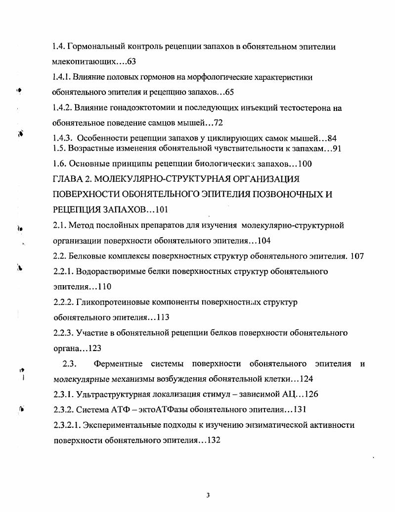  1.1.3. Морфометрическое исследование структурной организации