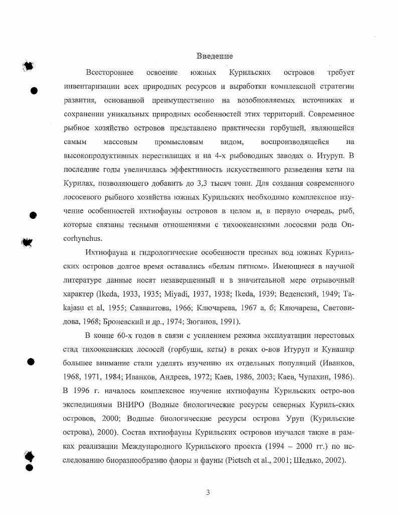 Семейство Реи отуючИЛае  миноговые