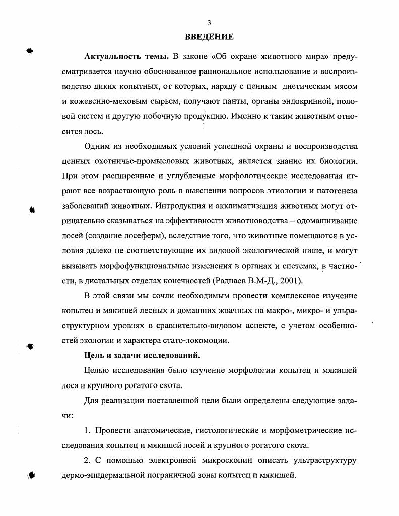 1.2. Анатомогистологическое строение копытец 