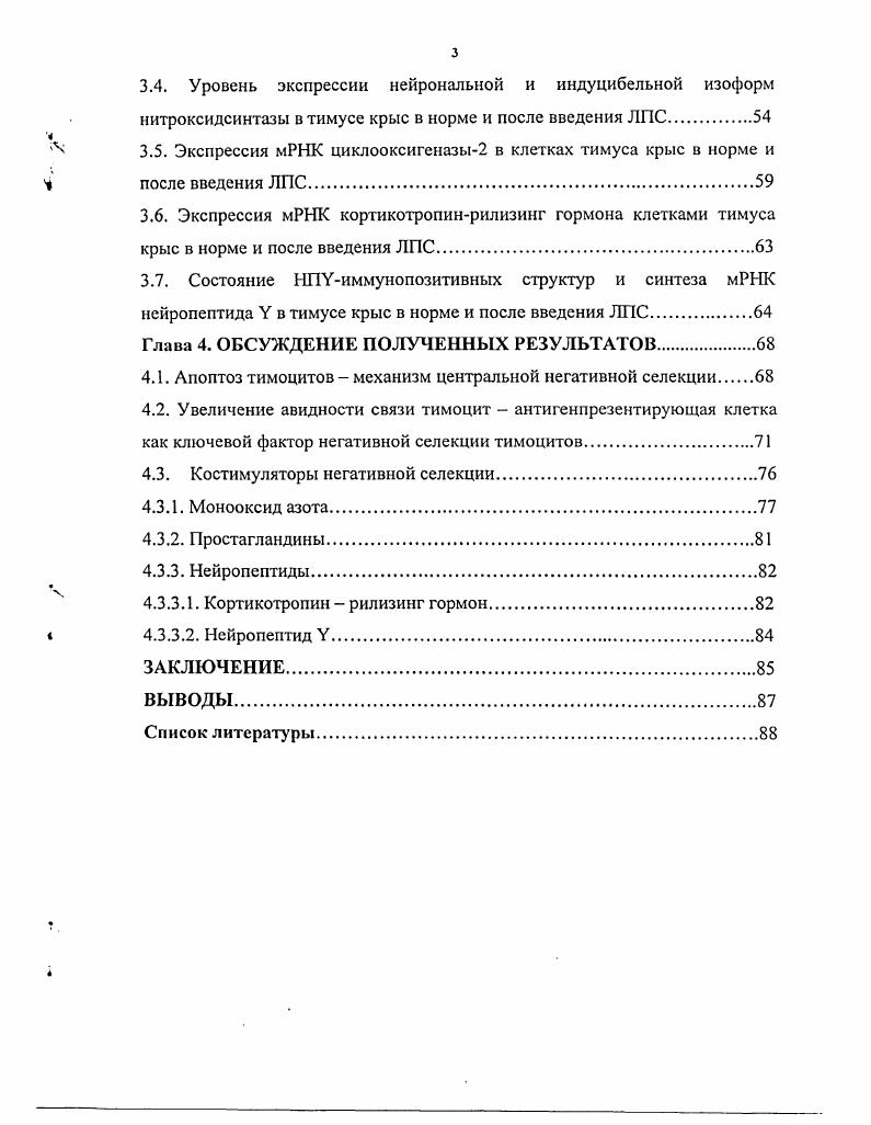 1.1.1. Морфофункциональная характеристика тимуса