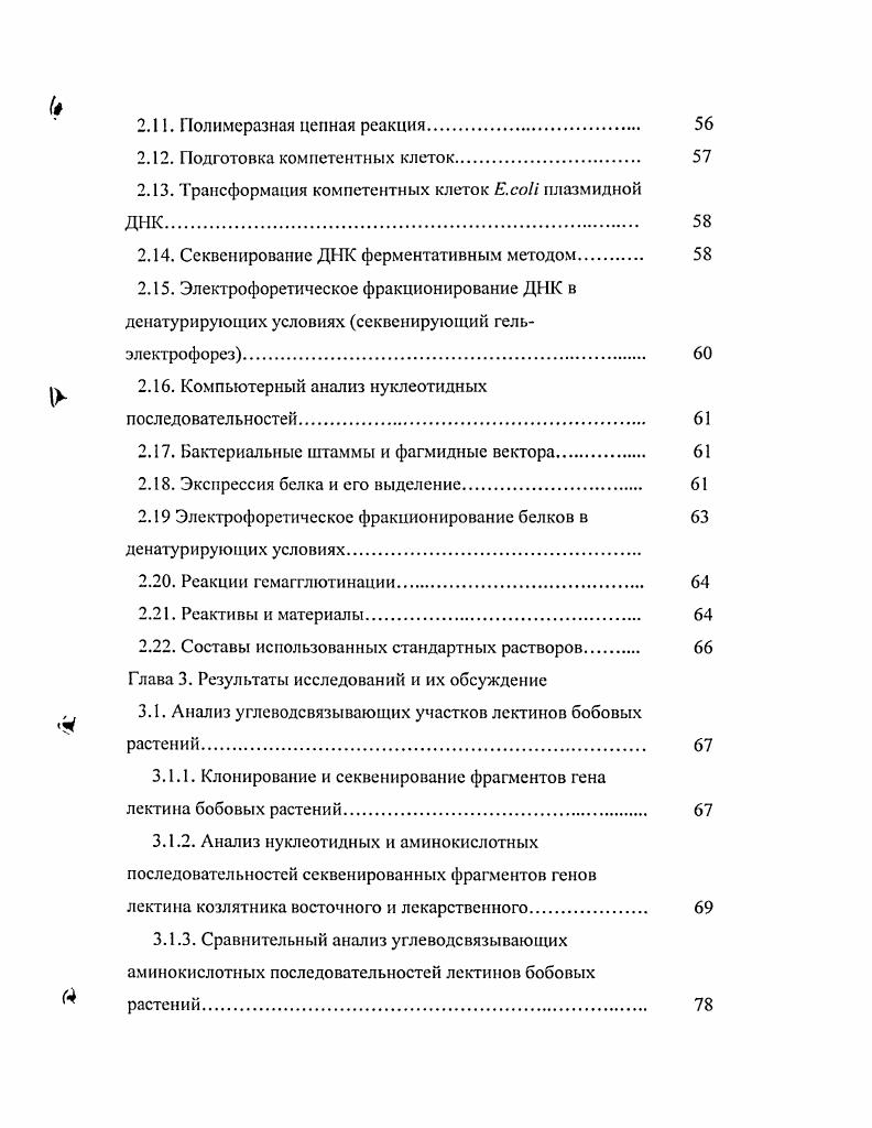 1.1. Происхождение бобоворизобиального симбиоза 