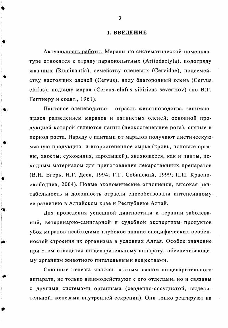 2.2. Особенности кровообращения слюнных желез