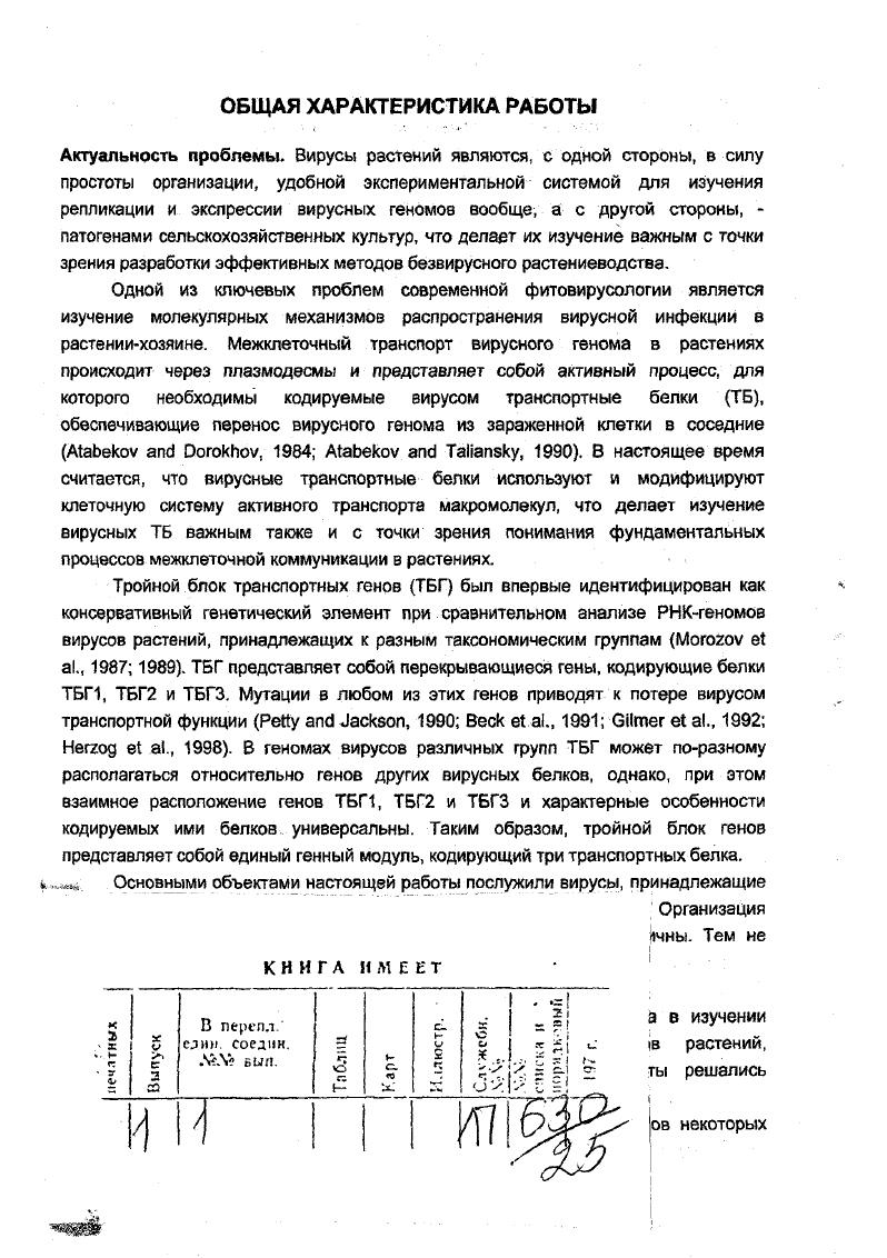 Международном конгрессе по молекулярной биологии растений Амстердам, , Международной конференции Фундаментальные и прикладные проблемы фитопатологии Ялта, , Конференции по вирусам злаков Версаль, , Международном симпозиуме Молекулярные механизма ответа стресс в растениях Москва, , Симпозиуме Новые аспекты исследования устойчивости сельскохозяйственных культур Ашерслебен, , 6ом Международном симпозиуме по РНКсодержащим вирусам Париж, , а также на научных конференциях и лабораторных семинарах НИИ ФХБ им. А. Н. Белозерского МГУ. Вирус мозаики подорожника азиатского ВМПА ii i vi, IV на основании размеров геномной РНК и данных о структуре вирионов был предварительно классифицирован как новый представитель группы лотексвирусов Минская и др. Используя в качестве матрицы для обратной транскрипции геномную РНК ВМПА, выделенную из препарата вируса, была синтезирована ДНК, которую клонировали в плазмидных векторах. Затем с помощью перекрестной гибридизации и частичного определения первичной структуры был выявлен набор рекомбинантных клонов, ВМПАспецифические вставки в которых содержали практически всю последовательность вирусной РНК за исключением прилежащего к бконцу небольшого участка генома, который был направленно клонирован с использованием специфического олигонуклеотида. Определение первичной структуры этого набора клонированных фрагментов генома позволило определить полную нуклеотидную последовательность геномной РНК ВМПА, которая составила, не считая Зконцевой , нуклеотидных остатков. Анализ последовательности генома ВМПА выявил наличие пяти открытых рамок трансляции ОРТ. Их расположение, размеры и последовательности кодируемых белков типичны для геномов вирусов рода xvi Рис. ОРТ в геноме ВМПА способна кодировать 6кДа белок, несущий в своей последовательности три домена, типичных для репликативных белков Синдбисподобных вирусов i , , а именно метилтрансферазный, нуклеотидсвязывающийхеликазный и домен, характерный для РНКлолимераз Рис. А v . 
