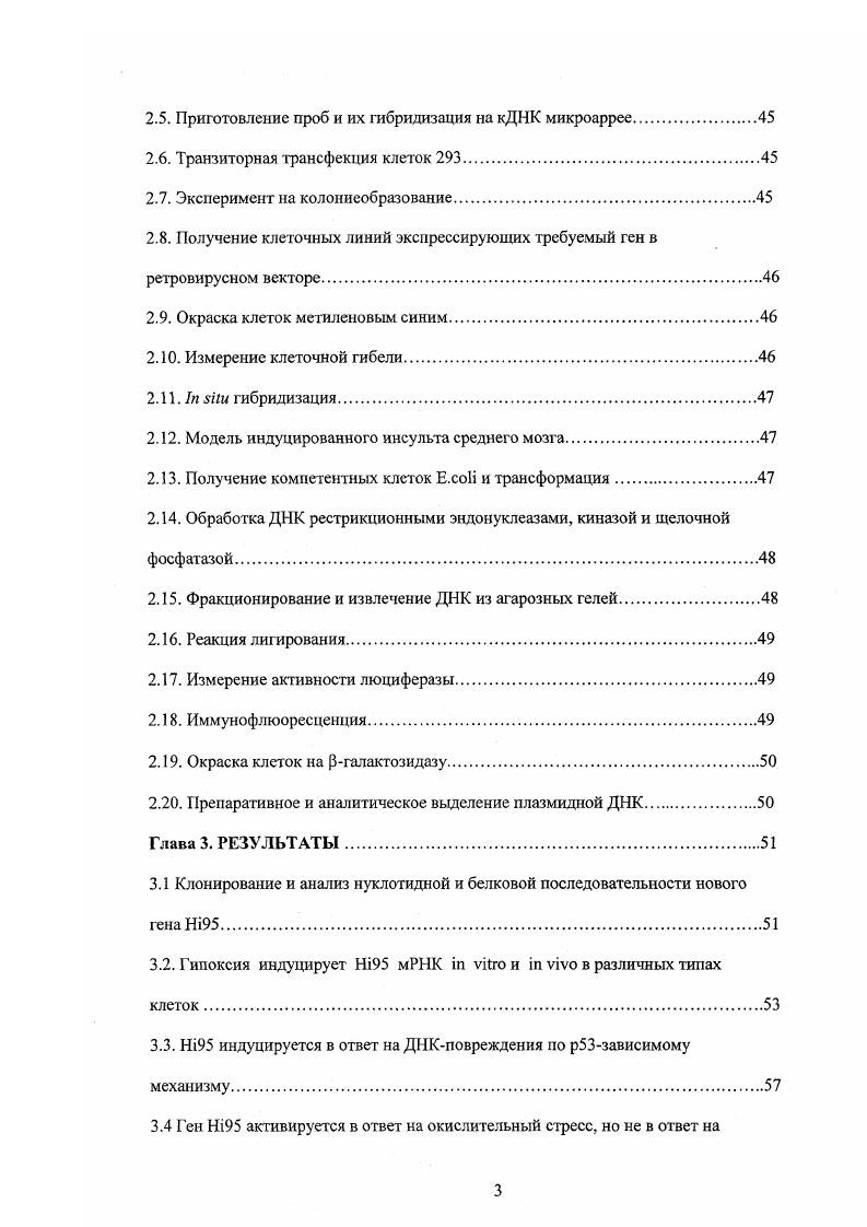 1.1.4 Регуляция стабильности и активности НИМ при гипоксии.