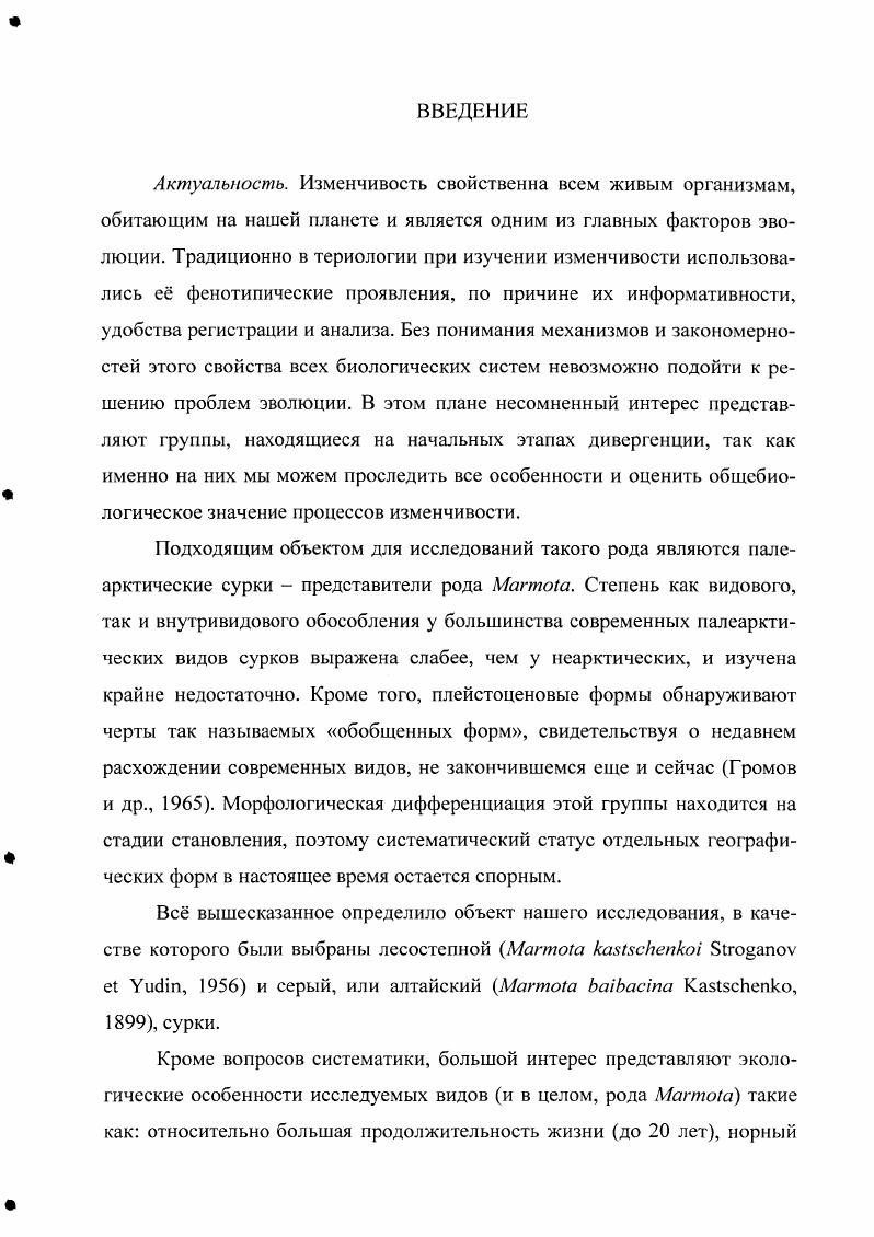 3. 2. Серый, или алтайский, сурок М ii