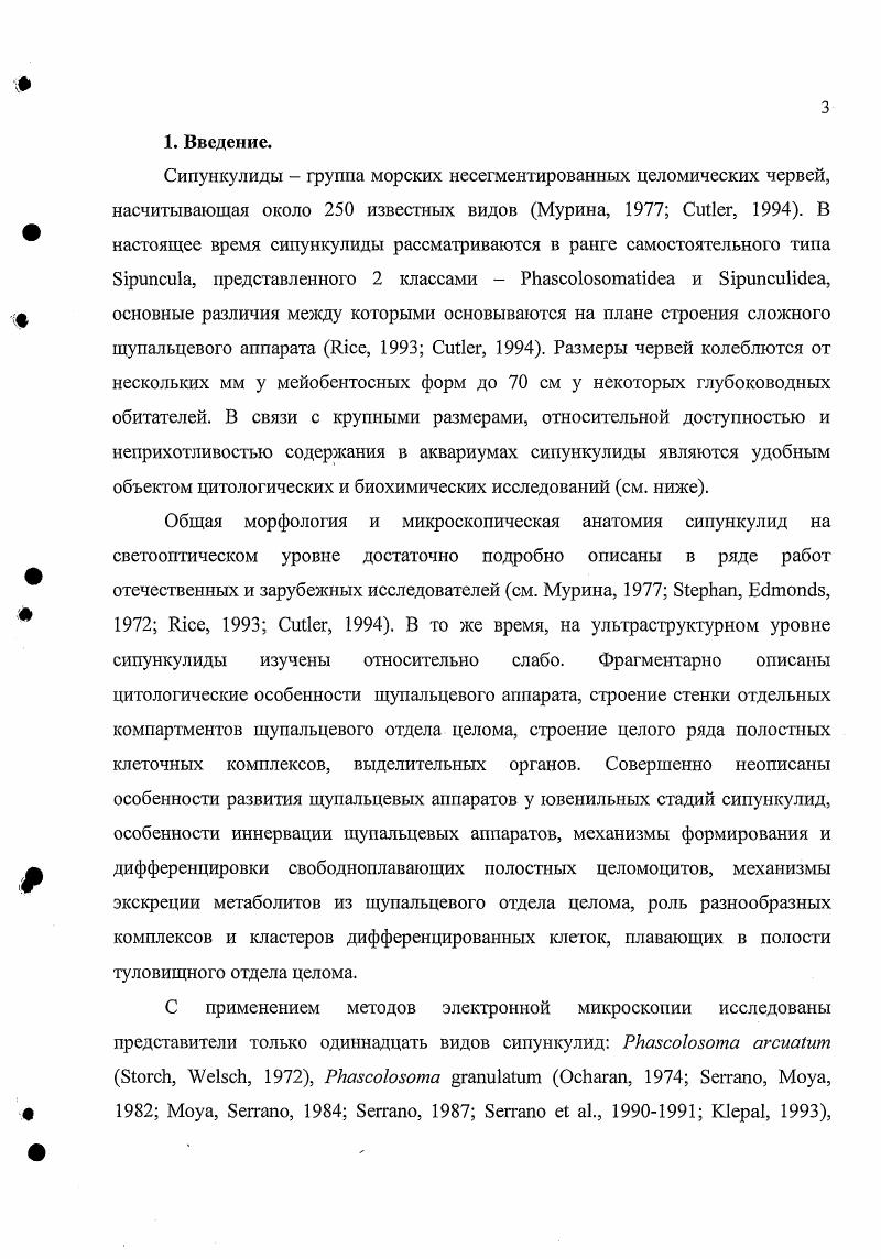 Цитоплазма внутреннего 1ранулоцита плотно наполнена крупными осмиофильными гранулами, тогда как в цитоплазме наружного подоцита встречаются многочисленные мелкие везикулы см. Функции этих образований в целоме сипункулид пока не выяснены, также как и механизм образования этих структур в процессе формирования целома. Сравнительно недавно в туловищном целоме i i кроме уже известных клеточных комплексов были обнаружены свободно взвешенные в целомической жидкости клеточные комплексы, состоящие из нескольких клеток центральной железистой клетки и наружного слоя подоцитов см. Майорова, Адрианов, а. Так же у i i впервые обнаружены и описаны новые свободноплавающие полостные элементы микровиллярные клетки см. Майорова, Адрианов, б. Внутреннее пространство этих эллипсоидных клеток занимает одна очень крупная везикула, заполненная волокнистым матриксом и розетками из осмиофильных микрогранул. Ядро оттеснено на периферию клетки, а немногочисленные оргаиеллы сосредоточены в узких пространствах между наружной клеточной мембраной и мембраной везикулы. Поверхность клетки покрыта микроворсинками с расширенными апикальными участками. От этих клеток отшнуровываются многочисленные мелкие микровиллярные везикулы, свободноплавающие в полостной жидкости Майорова, Адрианов, б. Помимо свободноплавающих целомоцитов и клеточных комплексов в туловищном отделе в целомической жидкости взвешены кластеры половых продуктов и отдельные гаметы на разных стадиях созревания. Гаметы в виде кластеров отрываются от гонады на ранних стадиях и плавают до полного созревания и последующего вымета через воронки нефридиев , i, i, , . Гаметы сипункулид и различные стадии половых кластеров из полости туловищного целома описаны в ряде специальных ультраструктурных исследований см. В цикле цитологических и биохимических исследований полостных элементов и целомической жидкости сипункулид были описаны механизмы ряда интересных биохимических адаптаций этих животных i, I, . I, I . I . I., . В частности было показано, что некоторые виды сипункулид например, i , обитающие в осадках с низкими концентрациями кислорода илы, машровые илы, способны в течении 2суток выносить полное отсутствие кислорода см. I, . В течении периода аноксии черви используют запасы гликогена и аминокислот, включающихся в анаэробный метаболизм с образованием сукцинатов, пропионатов и алоинов. На примере и i i были изучены концентрации ионов аммония в стенке тела и целомической жидкости животных, подверженных аноксии в течении длительного времени, а также в окружающей среде непосредственно вокруг покровов червей см. I . Было отмечено повышенное содержание этих ионов в среде вокруг животных, что связано с усиленным выделением этих продуктов при длительной экспозиции в анаэробных условиях. Было показано, что мри низких температурах С начинают включаться механизмы анаэробного метаболизма. В целомической жидкости уменьшается концентрация кислорода, увеличивается концентрация углекислого газа, происходит снижение полостной жидкости, происходит накопление ацетатов, пропионатов и сукцииатов и происходит развитие выраженного ацидоза. В работах Пенга с соавторами см. Кстати, первые работы по изучению осморегуляции у сипункулид на примере представителей рода появились еще в е годы прошлого столетия см. Устойчивость и биохимические адаптации сипункулид к критическим показателям солености описаны на примере в работах Чу с соавторами, а также Пенга и Ипа см. I., . Гистохимические тесты для определения химического состава компонентов различных полостных клеток сипункулид на примере приводятся в работе Серрано с соавторами см. В отличие от свободноплавающих полостных клеток, ультраструктура целомического эпителия, выстилающего все компартменты полости тела сипункулид, остается изученной весьма фрагментарно и эти сведения в основном касаются лишь отдельных участков обширного туловищного целома. Одни из первых ультраструктурных иллюстраций клеток целомической выстилки сипункулид приводятся в работе немецких исследователей Фолькера Шторха и Карины Моритц см. 