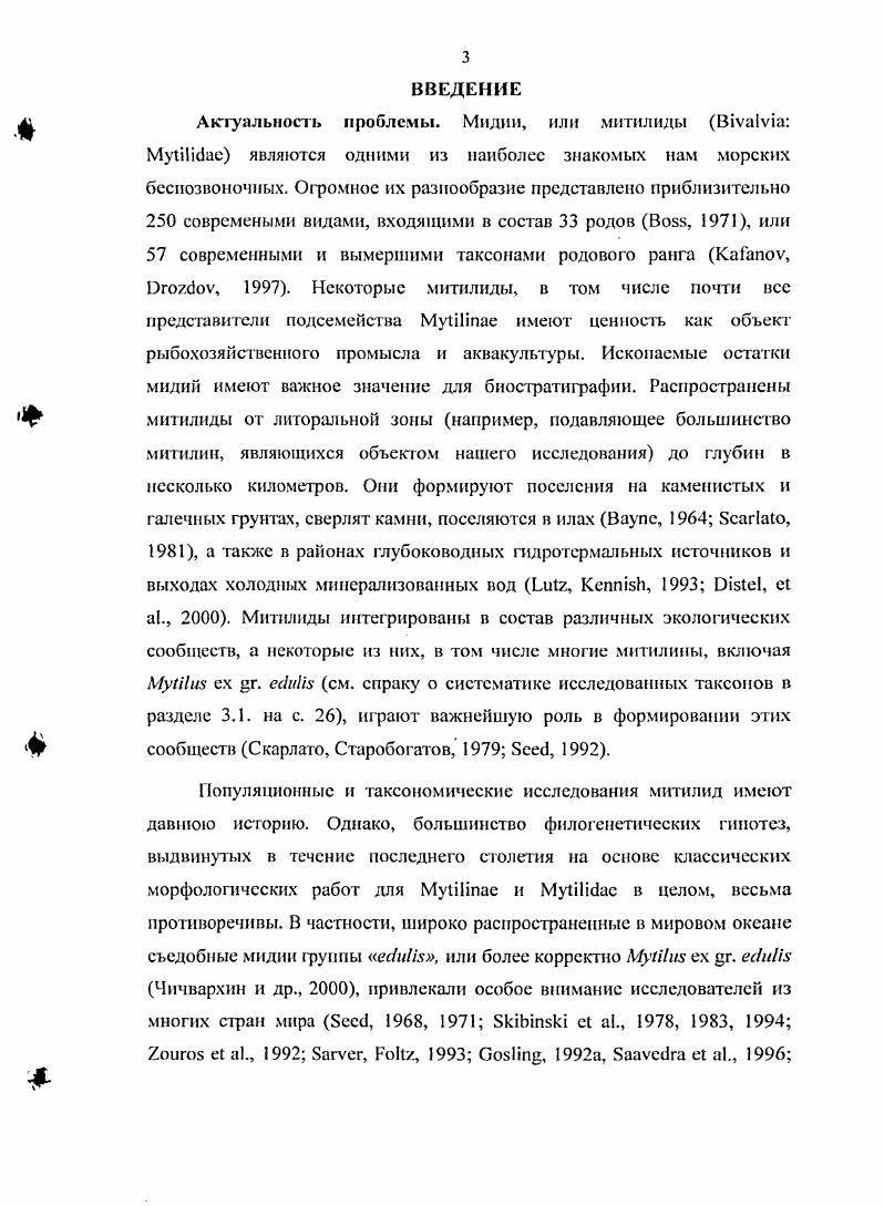 1.1. Филогенетические исследования митилид.