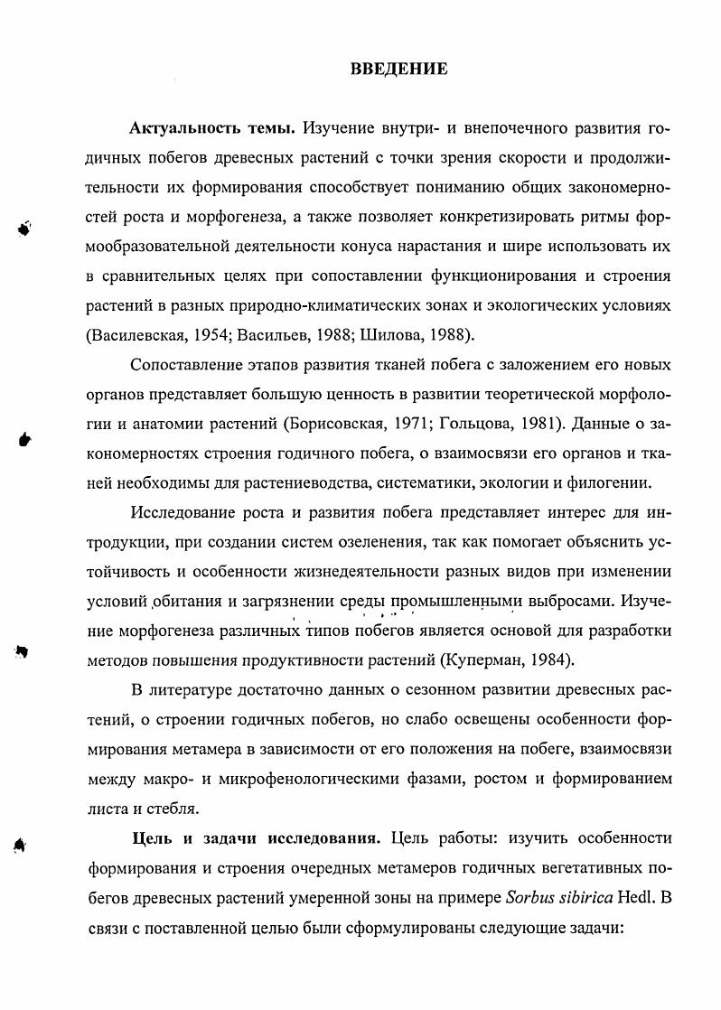 У ДРЕВЕСНЫХ РАСТЕНИЙ УМЕРЕННОЙ ЗОНЫ