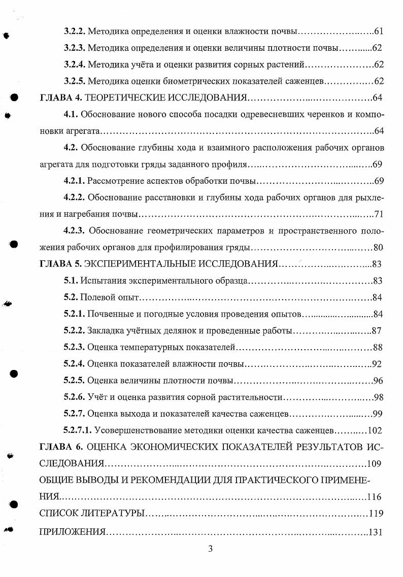 1.1.1. Основные элементы технологии получения саженцев черной смородины