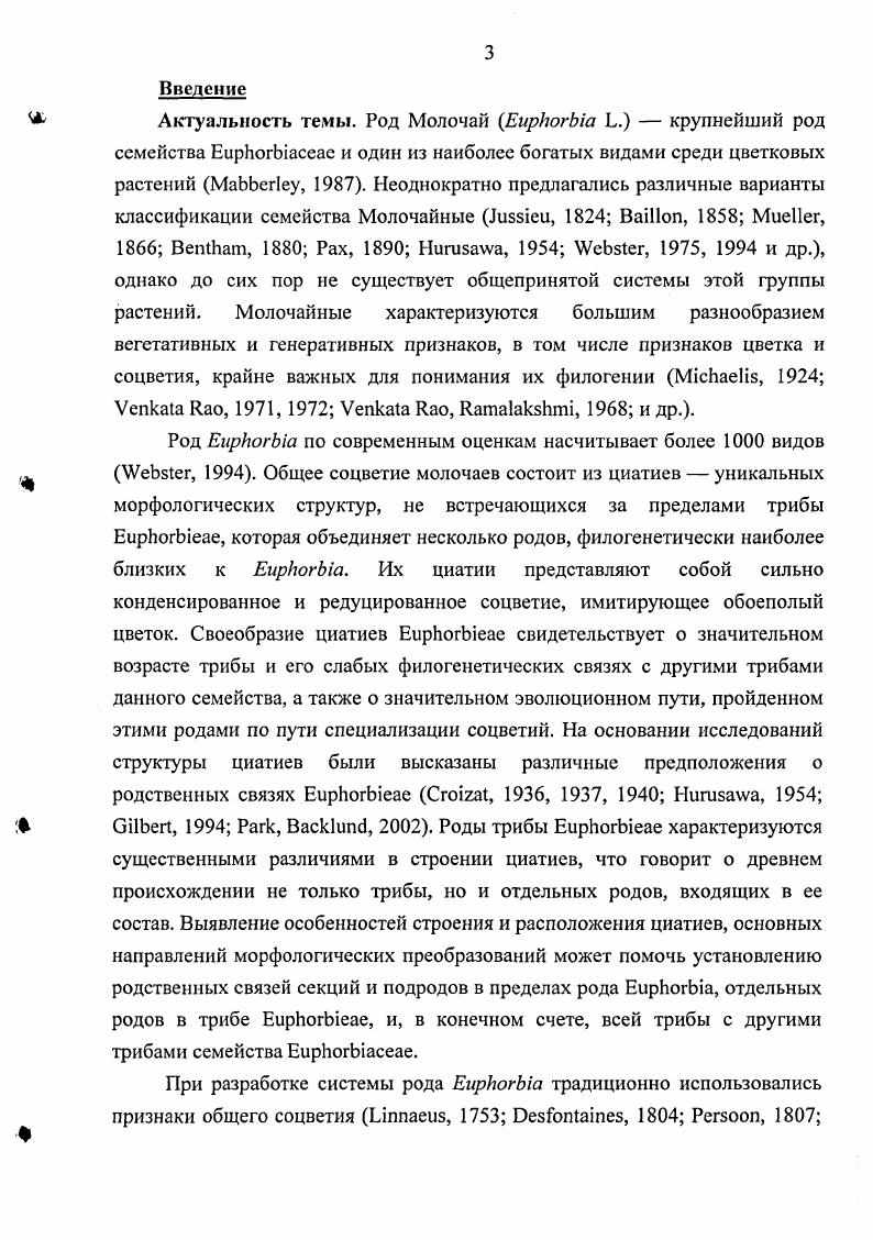 2.3. Характеристика циатия как уникальной морфологической структуры трибы i 
