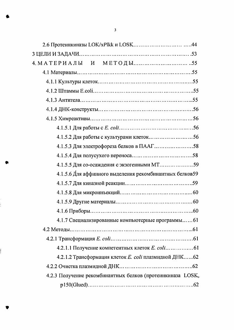 Рисунок 1 Доменная организация молекулы тяжелой цепи динеина. 