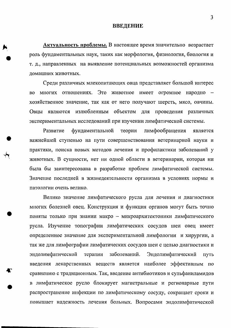 1.2. Лимфатические сосуды и узлы области шеи животных. 