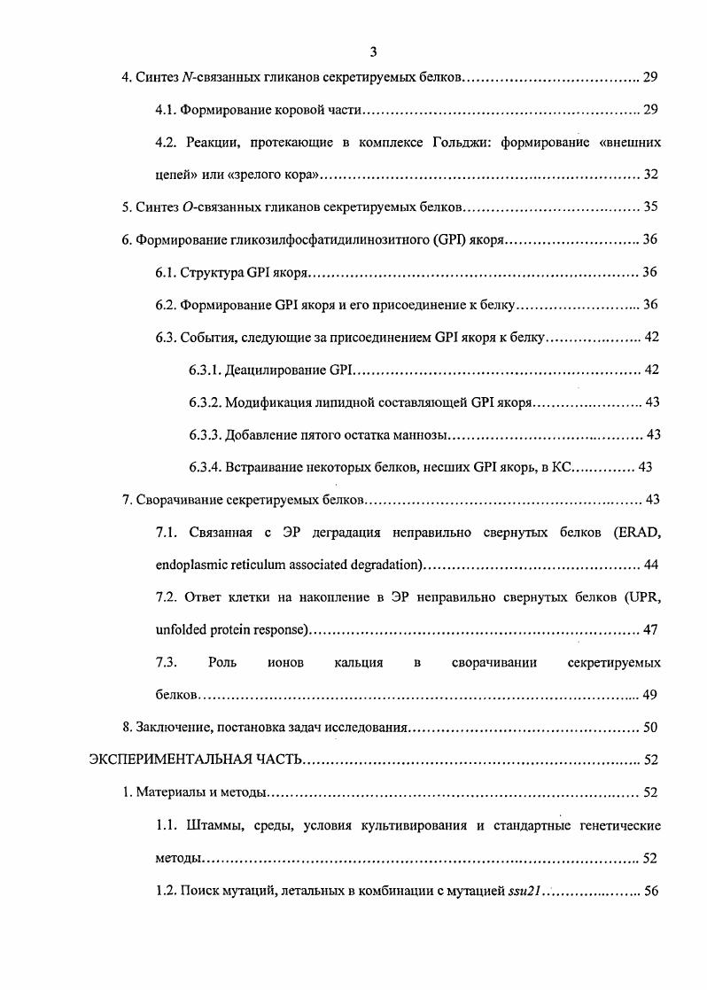 2. Синтез глюканов клеточной стенки. 