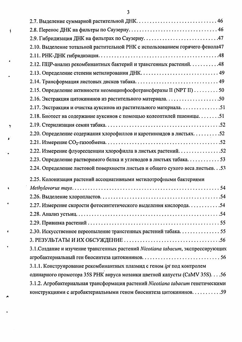 1.1.1.2.1. Прямой путь биосинтеза цитокининов v