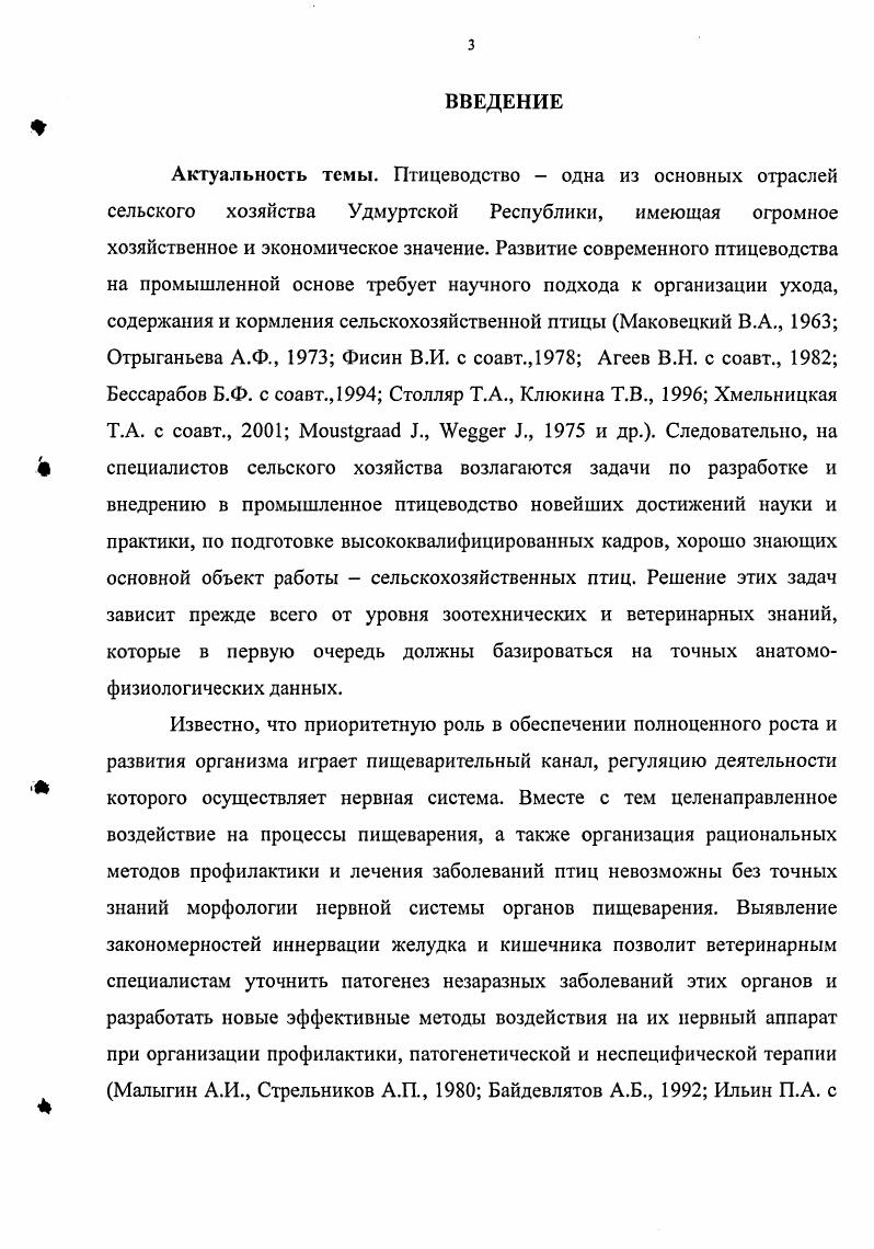 1.2. Развитие железистого и мышечного отделов желудка