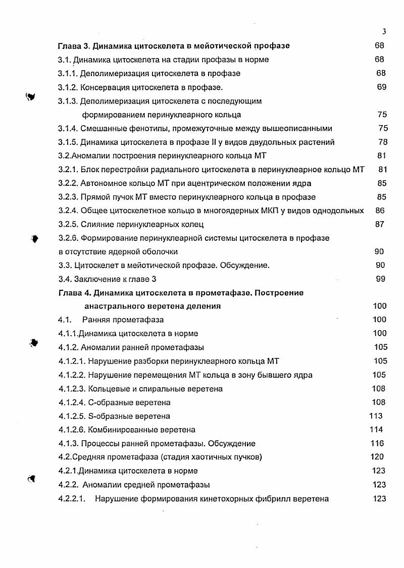 1.1. Микротрубочки и ассоциированные с ними белки