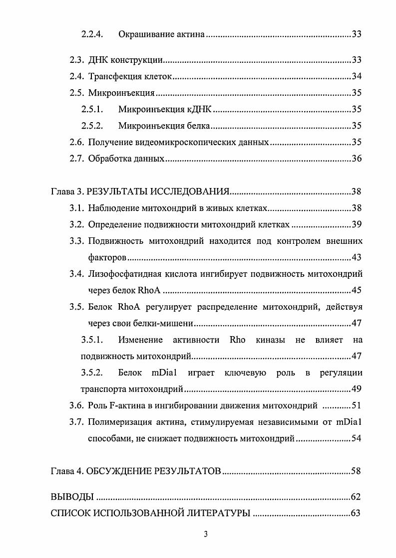 1.2. Цитоскелет, как средство внутриклеточного транспорта