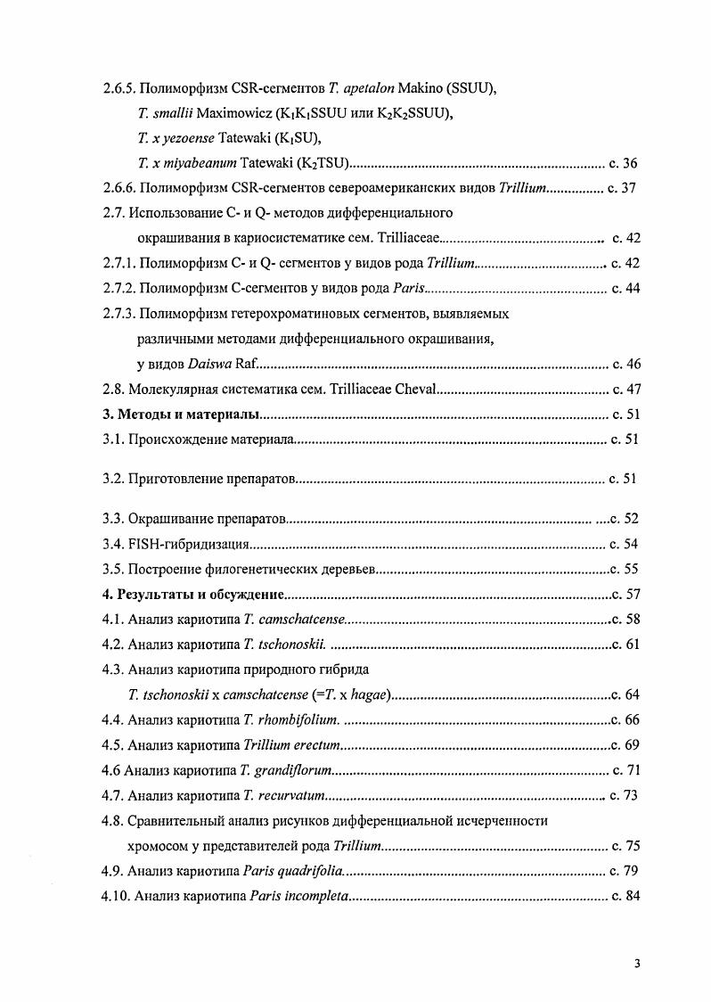 2.3. Морфологические характеристики представителей сем. ii с. 