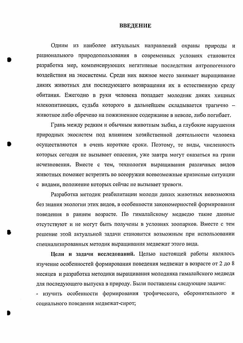 Глава 3. Методика выращивания молодняка гималайского МЕДВЕДЯ. 