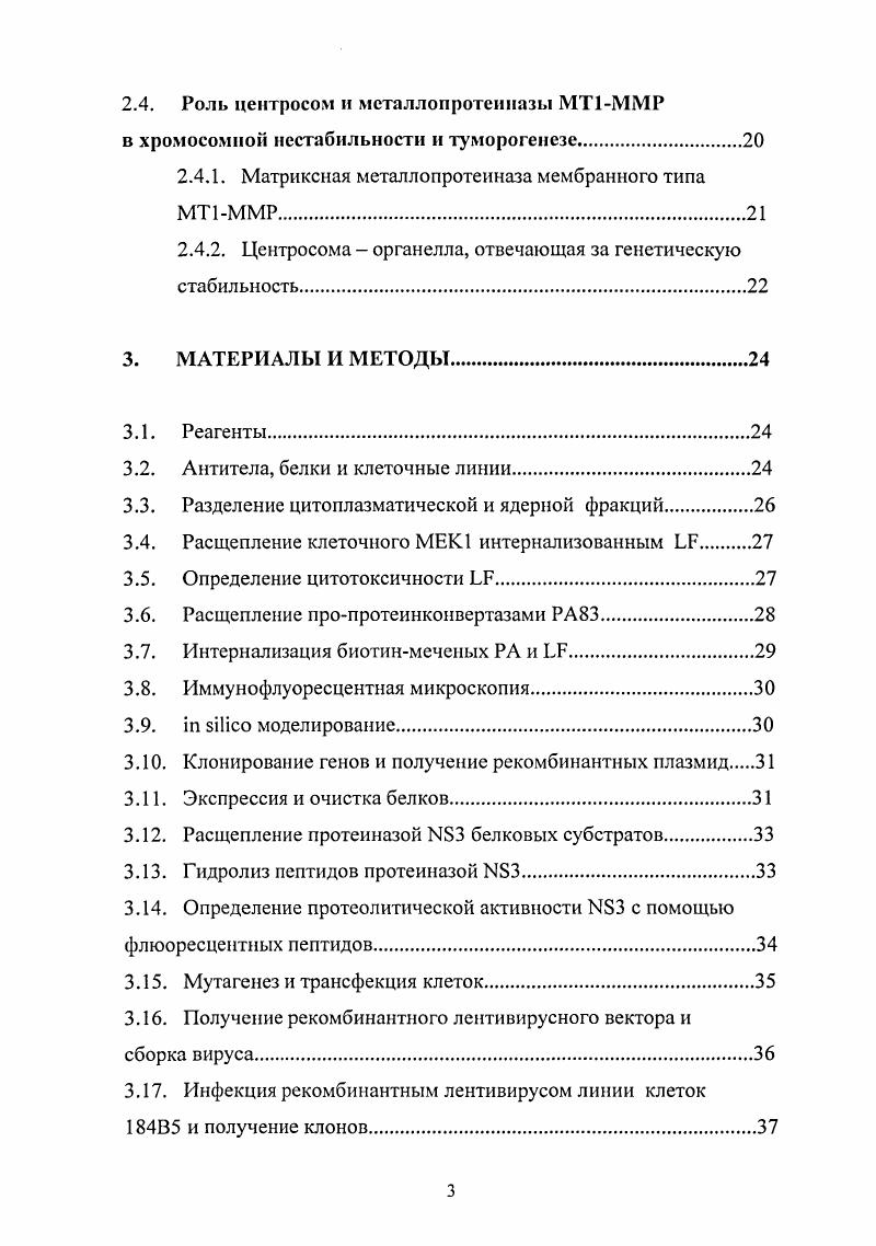 Общие представления о нротеазах и их роли в биологических процессах. Протеазы. Роль протсолиза в бактериальных инфекционных заболеваниях. Связывание РА с клетками мешенями. Ферментативная активность. Матриксная металлопротеиназа мембранного типа МТ1ММР. Антитела, белки и клеточные линии. Разделение цитоплазматической и ядерной фракций. Определение цитотоксичности Л7. Интернализация биотинмеченых РА и ЬТ. Экспрессия и очистка белков. Расщепление протеиназой белковых субстратов. Гидролиз пептидов протеиназой . Определение протеолитической активности с помощью флюоресцентных пептидов. Модель рака молочной железы в иммунодефицитных мышах. РЕЗУЛЬТАТЫ. Расщепление РА пропротеинконвертазами. Эндоцитоз и расщепление РА. Интернализация смешанных РАРА гептамеров мышиными макрофагами. Иммунофлуоресцентная микроскопия. Серпины и пептиды на основе аргинина как ингибиторы 3. Определение хромосомной нестабильности в эпителиальных клетках молочной железы человека 4В5. Роль МТ1ММР в хромосомной нестабильности и онкогенезе. СПИСОК ЛИТЕРАТУРЫ. СПИСОК СОКРАЩЕНИЙ. ИА. У4. МЗР основной белок миелина. ВВЕДЕНИЕ. Протеолиз и участвующие в нем протеиназы регулируют важнейшие этапы жизнедеятельности и метаболизма клетки. Протеиназы важны для всех живых организмов, включая вирусы, бактерии и эукариотические организмы. Кроме того, протеолиз является неотъемлемой частью, а в ряде случаев и причиной многих патологических процессов. Так вирулентные протеазы играют важную роль в инфекционных заболеваниях, вызываемых бактериями и вирусами. Многие вирусы, такие как ВИЧ, гепатит С, вирусы Лихорадки Западного Нила, Желтой Лихорадки, полиомиелита и гриппа содержат гены протеиназ, необходимые для жизненного цикла вируса, преодоления механизмов клеточной защиты и контроля над метаболизмом клеток. Секреторные протеиназы патогенных бактерий зачастую являются их важнейшими вирулентными факторами. Протеиназы активируют белковые токсины бактерий. Абнормальный протеолиз характерен для роста и метастазирования злокачественных опухолей. Цель нашей работы состояла в исследовании роли фуриноподобных протеиназ и металлопротеиназы МТ1ММР в патологических процессах. Первой задачей нашей работы являлось исследование взаимодействия человеческих фуриновых протеиназ с транспортными белками и ферментами, определяющими токсичность летального токсина сибирской язвы. Эта система включает токсин сибирской язвы, рецепторы токсина, находящиеся на поверхности человеческих клеток, и человеческие фуриновые протеиназы, необходимые для процессинга компонентов токсина и его последующей интернализации человеческой клеткой. 