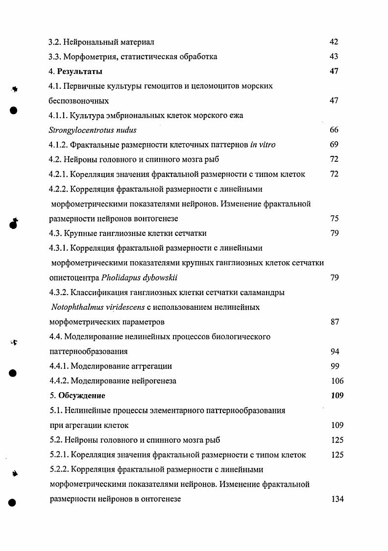 2.1. Квазифракталыюсть биологических систем 