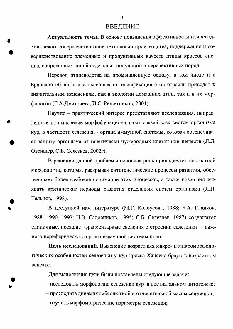 1.2. Сведения о морфологии селезенки у животных.