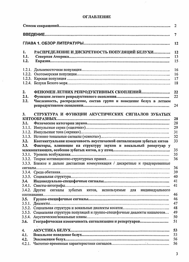 1.2.4. Белухи Белого моря. 