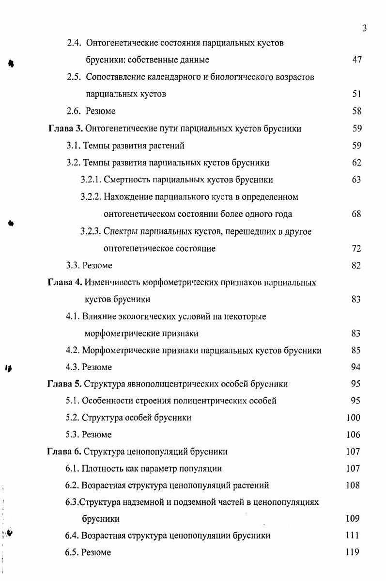 1.1. Объект исследования  брусника Уасспит viii Ь.