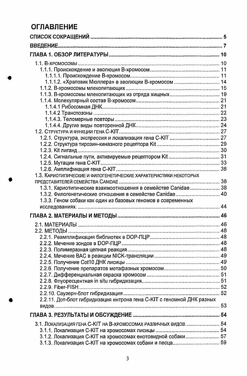 .1.2. Храповик Мюллера в эволюции Вхромосом.