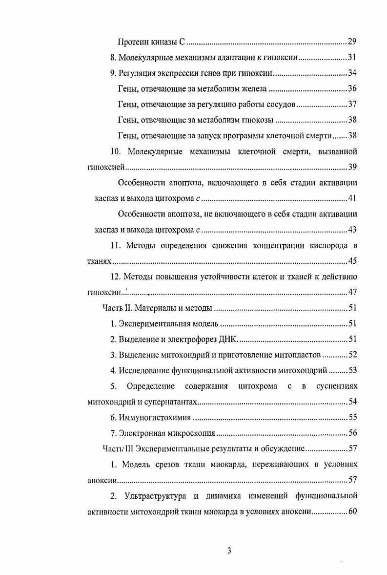 2. Источники активных форм кислорода в клетке