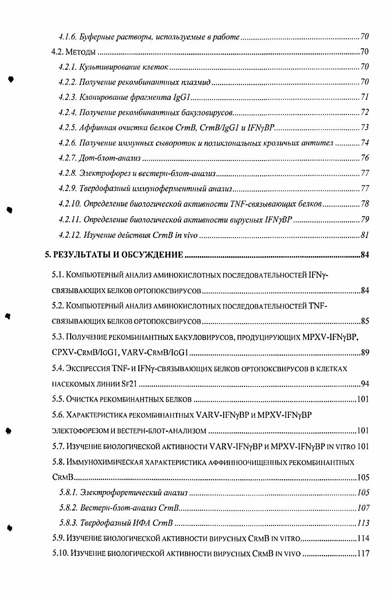 Автором лично осуществлен компьютерный анализ аминокислотных последовательностей получены рекомбинантные бакуловирусы, продуцирующие интерферон гамма связывающий белок I вируса оспы обезьян XV, иммуноадгезивные варианты связывающих белков I вирусов оспы коров XV и натуральной оспы VV проведено изучение экспрессии генов связывающсго белка VV, XV, XV, VVI, XVI, VV и XVI в линии клеток насекомых I проведена характеризация рекомбинантных вирусных белков методами вестерпблот анализа и электрофореза проведено изучение биологической активности вирусных рекомбинантных белков i vi. Иммунизация кроликов и получение иммунных сывороток осуществлено Рязанкиным И. А. ФГУН ГНЦ ВБ Вектор при участии автора. Очистка рекомбинантных белков методом аффинной хроматографии осуществлена Лебедевым Л. Р. ФГУН ГНЦ ВБ Вектор при участии автора. Изучение биологической активности вирусных i viv проводилось Граждапцевой , Кочиевой Г. В. ФГУН ГНЦ ВБ Вектор при участии автора. Клонирование фрагмента иммуноглобулина осуществлено Мурашевым Б. В. Институт особо чистых биопрепаратов, СанктПетербург. Характеризация рекомбинантных методом твердофазного иммупоферментного анализа ИФА проводилась Афиногеновой Г. Н., Пустошиловой Н. М. ФГУН ГНЦ ВБ Вектор. Гистологические исследования осуществлены Майковой Е. М., Виноградовым И. В., Рябчиковой О. И. ФГУН ГНЦ ВБ Вектор. Положения, выносимые на защиту. Получены бакуловирусы, детерминирующие синтез в клетках насекомых Iсвязывающего белка вируса оспы обезьян и химерных иммуноадгезивных вариантов связывающих белков вирусов натуральной оспы и оспы коров. Специфичные аминокислотные замены связывающих белков ортопоксвирусов реализуются в различных физикохимических свойствах рекомбинантных белков. МАК 5. Организмы животных обладают целым рядом защитных механизмов, направленных против инфекционных агентов. Врожденные защитные реакции реакции неспецифические, направленные против любых чужеродных клеток, вирусов, крупных молекул. Приобретенные защитные реакции направлены против конкретных инфекционных агентов, они осуществляются антителами или цитотоксическими Тлимфоцитами Ярилин, . Вирусы в процессе эволюции приобрели различные молекулярные механизмы модулирования иммунных и воспалительных реакций организма хозяина Маренникова и Щелкунов, Щелкунов, . Стратегии иммуномодуляции, используемые вирусами, определяются особенностями их жизненного цикла и размерами их генома. Для вирусов с небольшим размером генома одной из важнейших стратегий избегания защитных реакций организма хозяина является высокая частота мутаций, что позволяет вирусам ускользать от антигенспецифичсского иммунного ответа. В силу ограниченной емкости генома такие инфекционные агенты могут иметь лишь несколько генов, кодирующих белкииммуномодуляторы, но такие белки часто обладают плейотропным действием i ii, . Геномы крупных ДНКсодержащих вирусов содержат большое количество генов, белковые продукты которых действуют на различные компоненты защитной системы организма хозяина. У Поксвирусов и Гсрпесвирусов на долю генов, кодирующих иммуномодулирующие белки, приходится более генома i ii, . Вирусные иммуномодулирующие белки очень разнообразны, и их наборы различаются даже у близкородственных вирусов, таких как представители семейства Поксвирус табл. Вирусные иммуном одул и рующи с белки можно разделить на основе их мишеней или механизмов действия на два основных класса внеклеточные виромиметики, представляющие собой секретируемые или мембранные белки, мимикрирующие молекулярные факторы защитной системы организма хозяина, и внутриклеточные виростслсы белки, предохраняющие инфицированные клетки от атаки иммунной системы и от гибели в результате апоптоза , , . Виромиметики на основе механизма действия делятся на вироцеиторы и вирокины. Таблица 1. Иоксвирусныс п. Член рецепторного суперссмейства. I связываюший белок Рецептор I первого типа Секрет ру см ый белок 9 5 . РНК связывающий белок Ингибитор и 2. Ингибирует сигнальные пути I. Вирусные ростовые факторы Стимулирует пролиферацию кератиноинтов и фибробластов 3. С1 подобный белок Взаимодействует с интегринами 1. I i Препятствует апоптозу. I2 Ссрнин Ан гиапоптозный белок, блокирует процессинг 1Б1Э и И. I 3 Серпни Антивоспали тельный белок 2 2 2 8. 