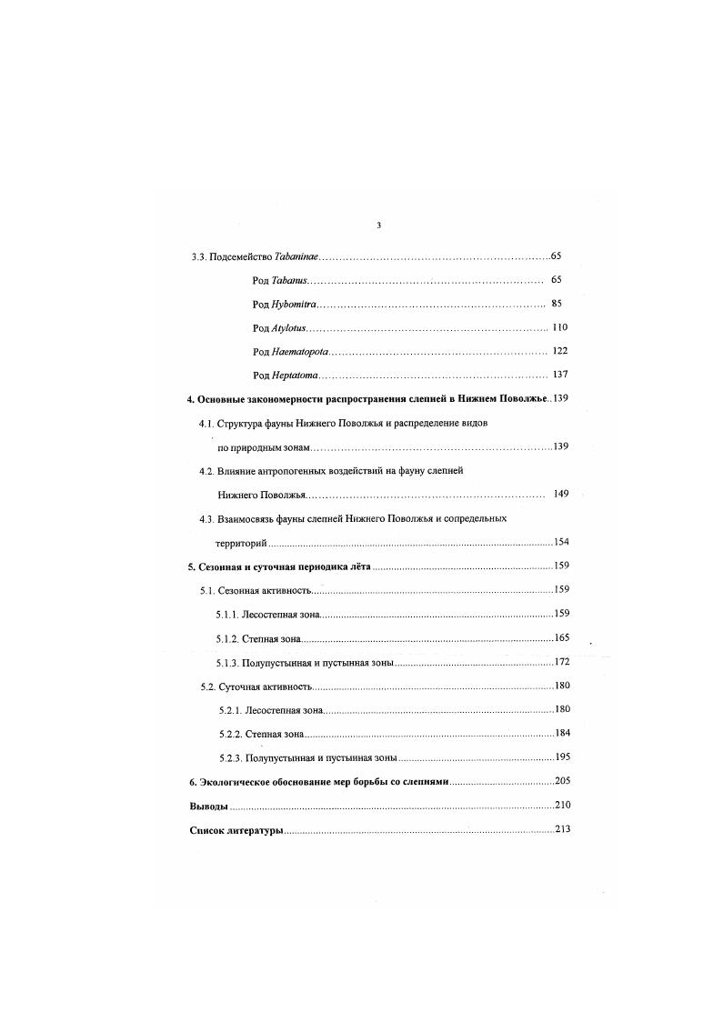 1.3.3 Развитие преимагинапьных фаз.