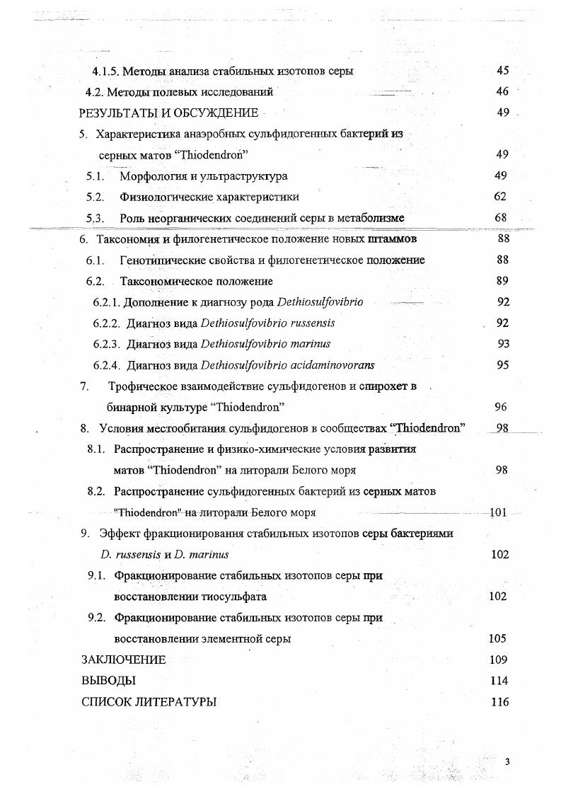 1.2. Экология сообщества ТЫоЛепгоп 