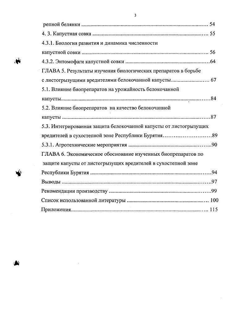белокочанной капусты в Восточной Сибири