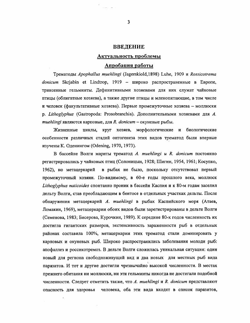 Глава 2. ТРЕМАТОДЫ  II I,  , И 1 I I  I, 