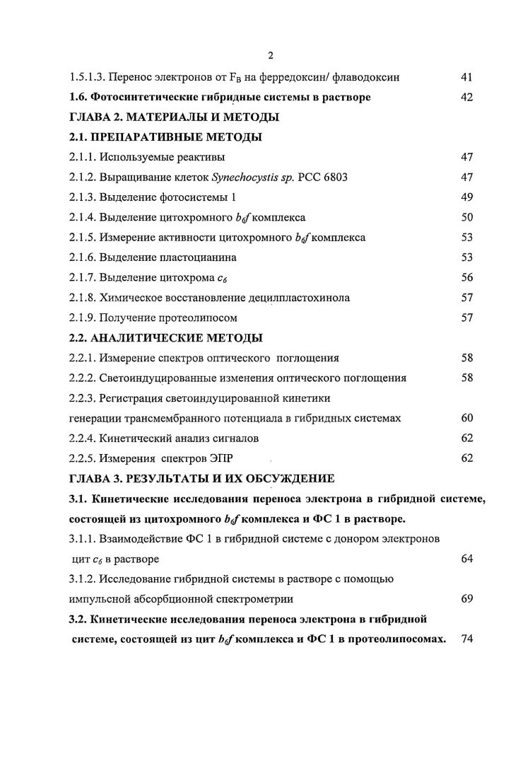 1.1.1. Дополнительный гем на стромальной поверхности
