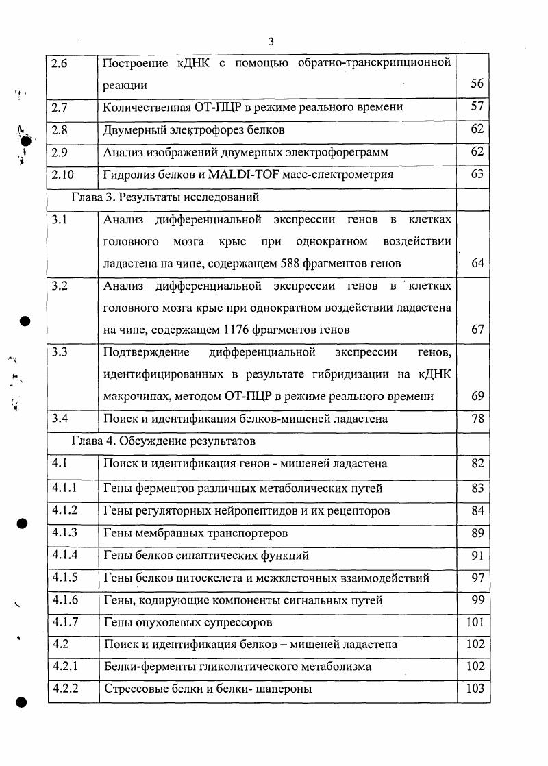 1.1 Общая характеристика производных адамангана и их использование в практике 