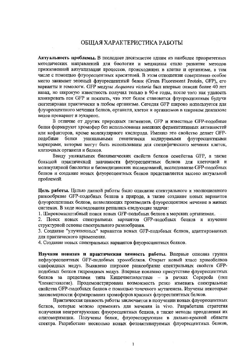 Членкорреслондент РАН, доктор химических нау Кочетков С Л.