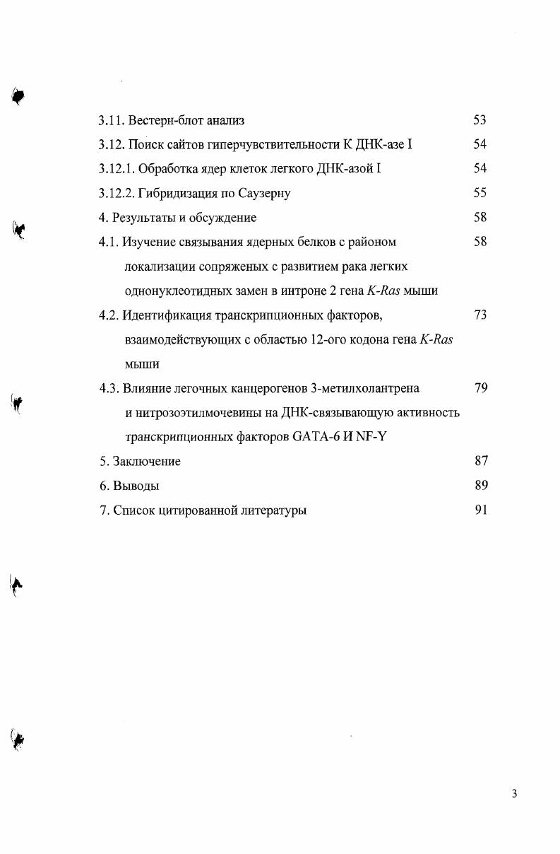 2.3.2. Транскрипционный фактор 