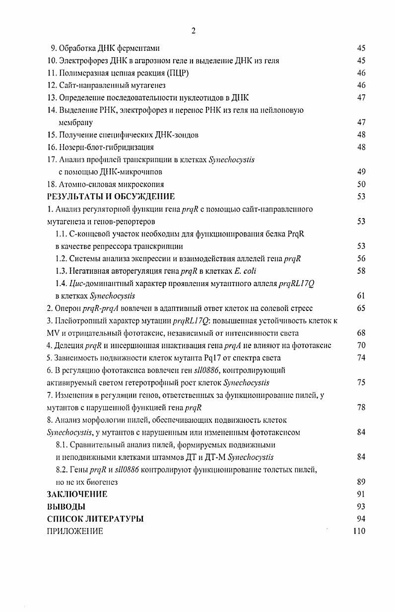 1.1. Условия развития окислительного стресса в клетках