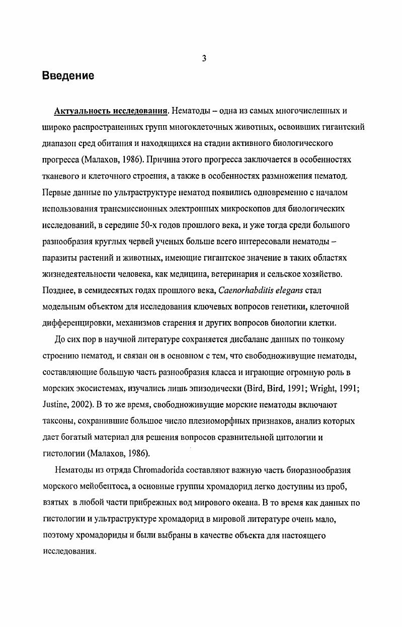 Концевая клетка семенника