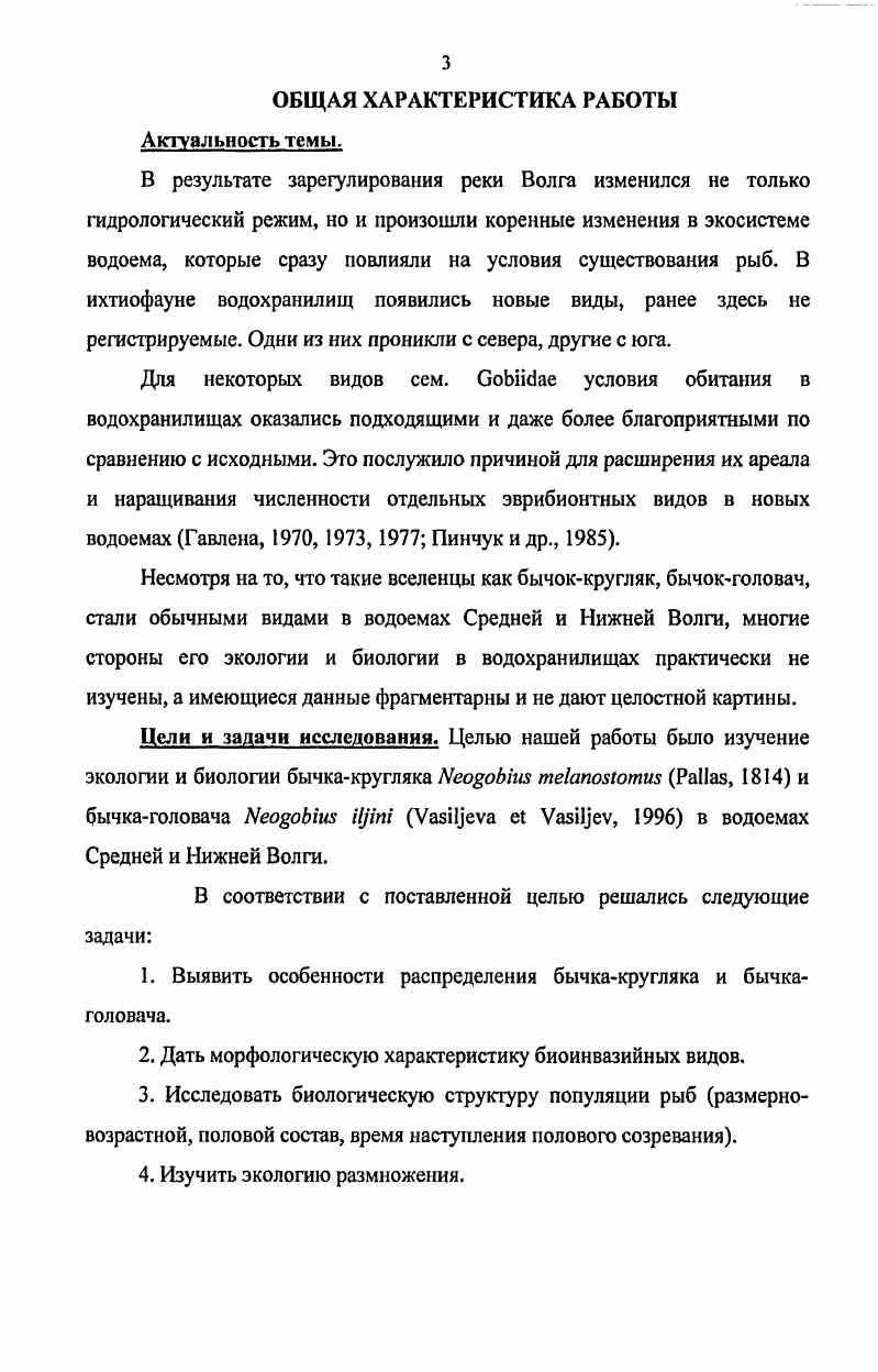 ГЛАВА IV. МОРФОЛОГИЧЕСКАЯ ХАРАКТЕРИСТИКА