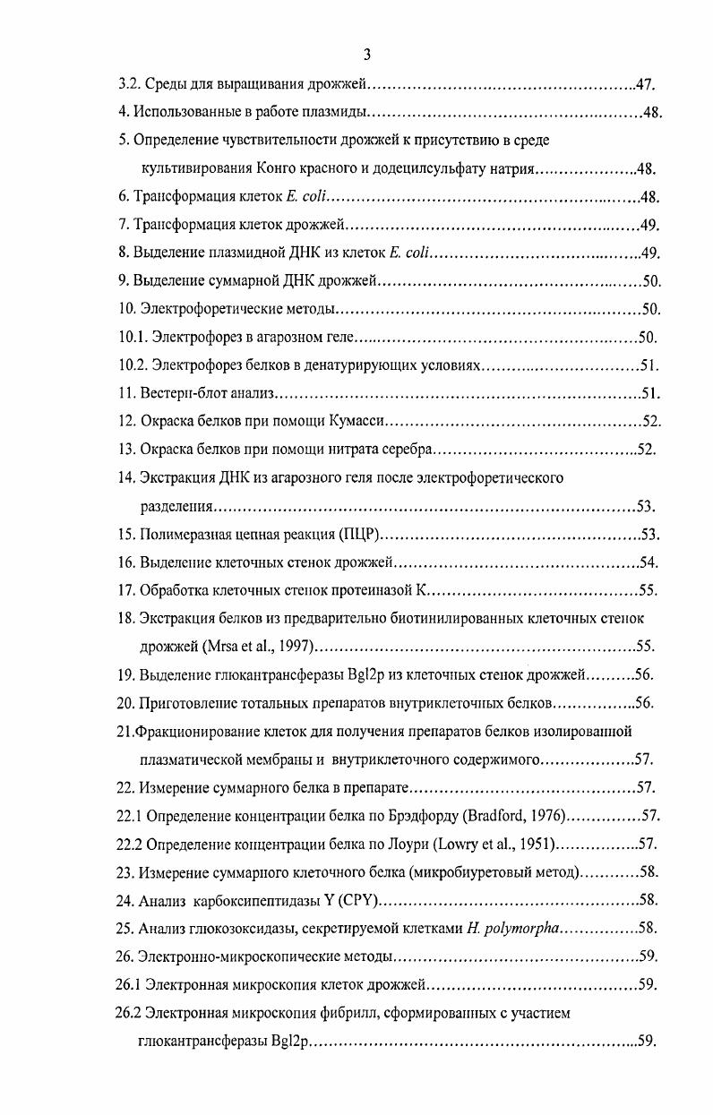 2.3.2.0маинозилирование