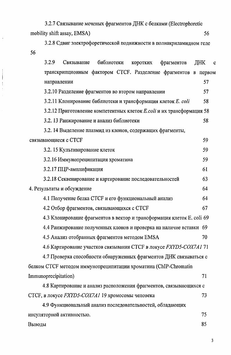 2.2.   представитель многофункциональных белков, содержащих мотивы цинковых пальцев 