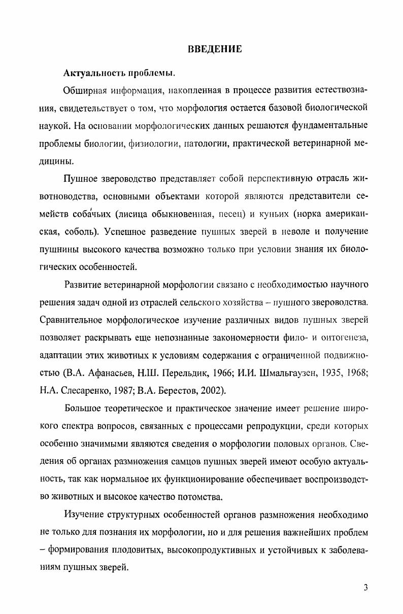 1.2. Васкуляризация полового члена 