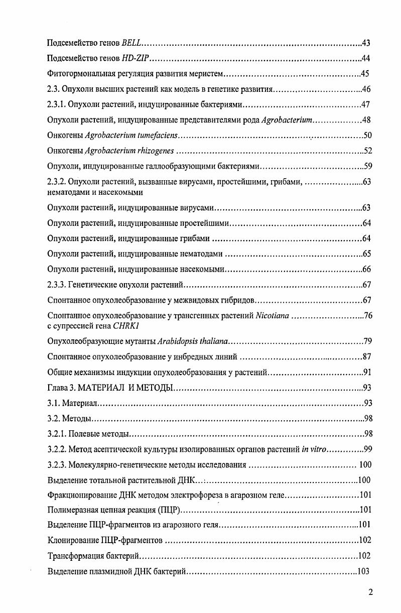 Циклины класса В.