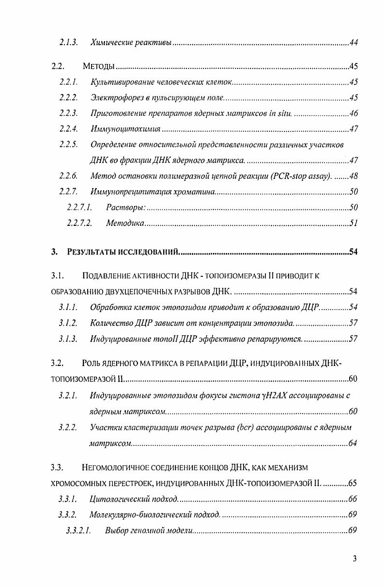 1.1.2.2. Прикрепленная к ядерному матриксу ДНК.