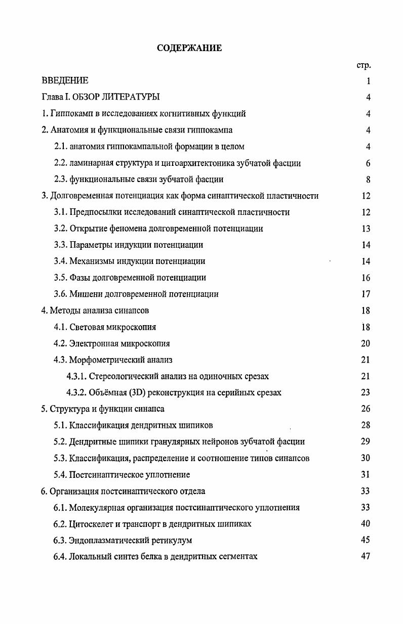 2. Анатомия и функциональные связи гиппокампа 