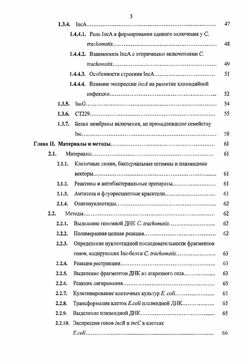 1.1.1. Классификация хламидий, вызывающих патологии у
